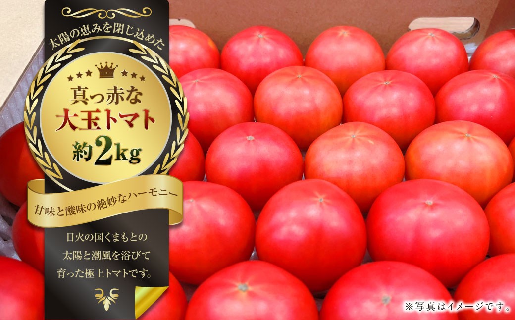 
                  太陽の恵みを閉じ込めた真っ赤な大玉トマト2kg（熊本県産） 【2027年1月下旬発送開始】 甘い 真っ赤 野菜 やさい 爽やか フルーツトマト とまと 国産 常温
                
