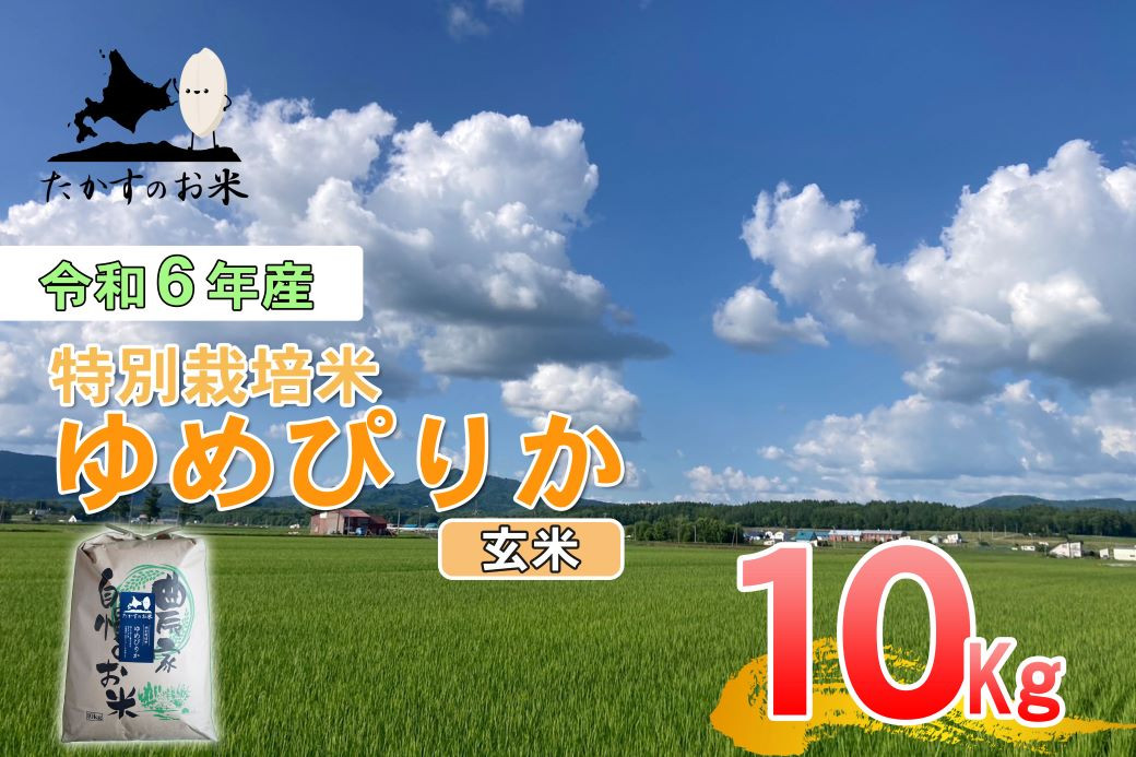 
A222　【 令和6年産 】 ゆめぴりか （ 玄米 ） 特Aランク 北海道 米 を代表する人気の品種 10㎏ 北海道 鷹栖町 たかすのお米 米 コメ こめ ご飯 玄米 お米 ゆめぴりか コメ 玄米
