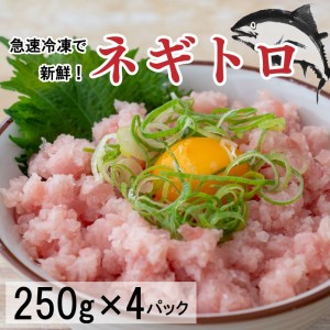 ネギトロ 1kg 冷凍 鮪  小分けパック 250g×4パック 高知県 須崎市（ねぎとろ まぐろ マグロ 鮪 キハダマグロ 黄肌鮪 マグロ 料理 マグログルメ 天然マグロ マグロ好き 須崎産マグロ 高知県産 マグロ ねぎとろ 訳あり ネギトロ  不揃い マグロ ねぎとろ 訳あり ねぎとろ サイズ不揃い マグロ ねぎとろ 訳あり 訳あり マグロ 訳あり まぐろ 訳あり ねぎとろ）