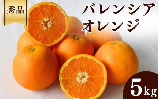 
                  ＜先行予約＞バレンシアオレンジ【秀品】5kg ※2026年6月中旬～7月下旬頃に順次発送予定【期間限定・数量限定】 / 柑橘 季節限定 お取り寄せ 産地直送 贈答品 ギフト 果物 フルーツ 田辺市 和歌山県【ymh012】
                