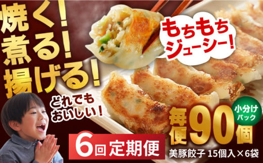 
【全6回定期便】 美豚餃子 15個入×6袋 セット おつまみ おかず 簡単【長崎フードサービス】 [PEL023]
