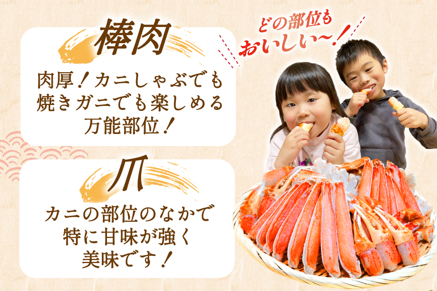 【2025 年内配送】 カット済 生 ずわいがに むき身 セット 総重量 750g (正味重量600g) 2-3Lサイズ [カネダイ 宮城県 気仙沼市 20565652] かに カニ ズワイガニ ずわ
