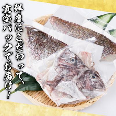 ふるさと納税 阿久根市 鮮度抜群!養殖真鯛(1尾分・約1.5kg)さるがく水産　a-14-43 |  | 01