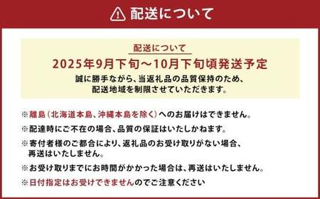 A156 福岡県山川産 極早生 塩みかん(緑) 10kg 【2025年9月下旬～10月下旬発送予定】 早採り 蜜柑