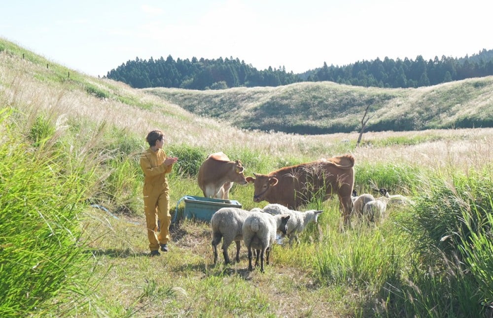 【3か月連続定期便】くまもとあか牛焼肉 500g×3回