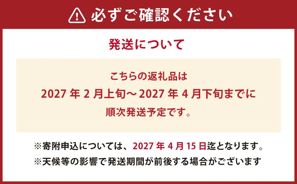 甘夏みかん 約10kg（1個あたり約300-350g、約25個～30個入り） 甘夏 柑橘 みかん 蜜柑【2027年2月上旬発送開始】