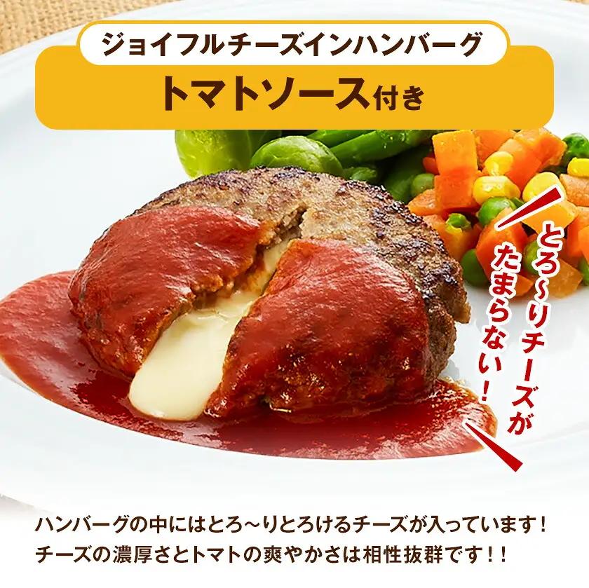 【6ヶ月定期便】ジョイフルハンバーグ 人気の詰め合わせ 14個 ソース付き 食べ比べ 3種類 セット