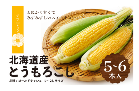 【R7年早期受付】 8月の旬 トウモロコシ 5?6本 ピンクの八百屋 ナツやさい | とうもろこし トウモロコシ ゴールドラッシュ 旬 新鮮 野菜 夏 甘い 産地直送 北海道 津別町 送料無料 