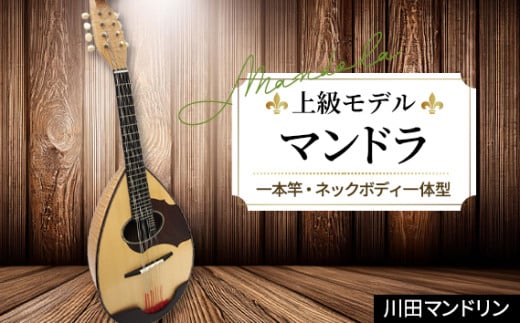 【上級モデル】マンドラ [No.293] ／ 楽器 岐阜県 特産品
