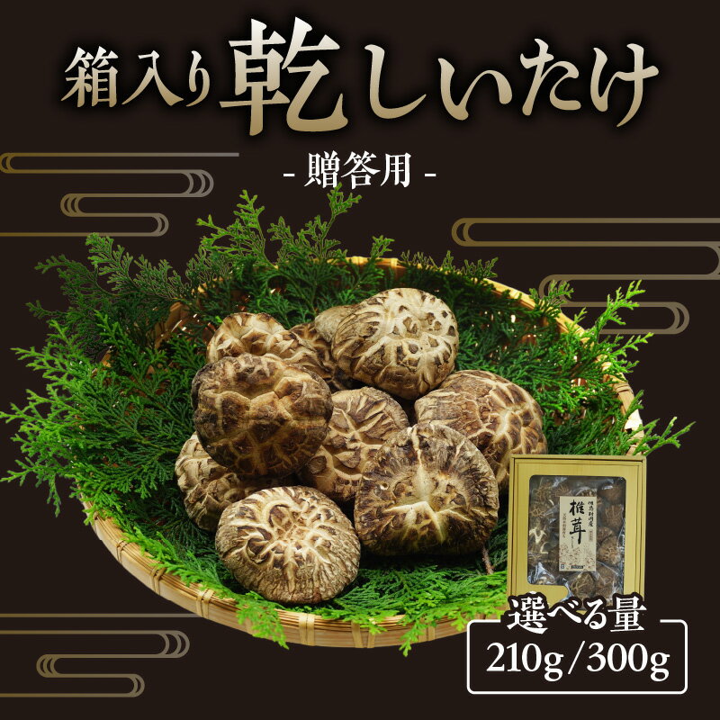 【ふるさと納税】贈答用 箱入り しいたけ 【選べる内容量 】原木栽培 乾燥椎茸 干し椎茸 きのこ ギフト 肉厚 最上級 シイタケ 椎茸 煮物 原木栽培しいたけ 贈り物 グルメ 送料無料