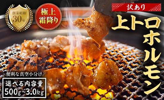 
                  【訳あり】 極上 霜降り 上トロホルモン 500g～3kg 秘伝のタレ付き 簡易包装 | 訳あり 訳アリ 国産 上トロホルモン 霜降り ホルモン 冷凍 真空パック 家庭用 ホルモンうどん 八島丹山 京都 舞鶴
                