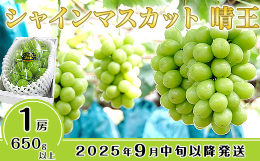 
            シャインマスカット晴王1房【2025年9月中旬～10月下旬発送予定】（いばら愛菜館）
          