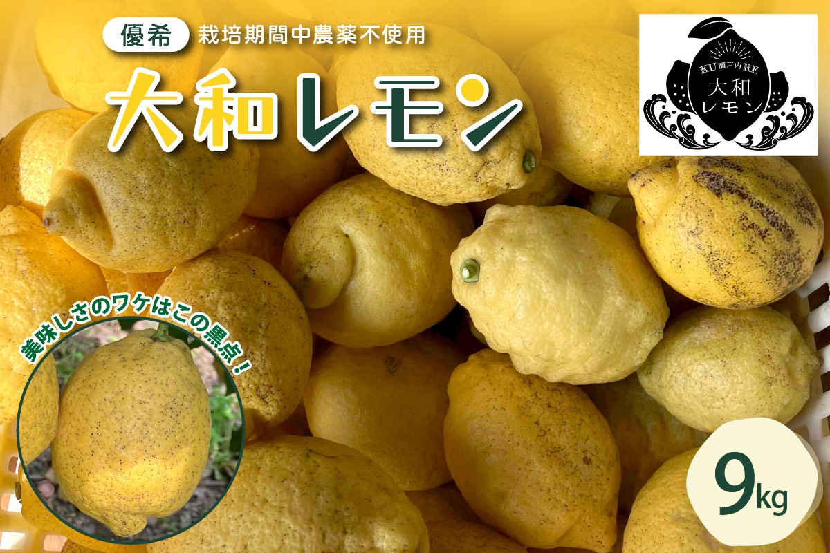 栽培期間中農薬不使用　大和レモン 9kg