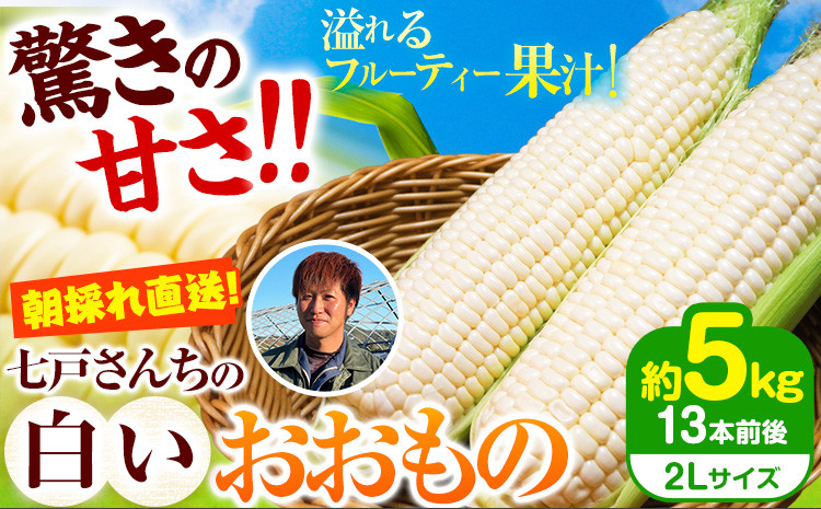 
                  朝採れ直送 とうもろこし 白いおおもの 甘い 約5kg 13本入 2Lサイズ 七戸宏大 岩手県 九戸村産 ホワイトコーン 白いとうもろこし トウモロコシ コーン 玉蜀黍 とうきび 幻 生食 生で食べられる ピュアホワイト 雪の妖精 ホワイトショコラ スイートコーン 特大 極甘 高糖度 冷蔵 クール便 新鮮 野菜 夏野菜 お中元 夏ギフト 贈り物 贈答用 大容量 送料無料《7月下旬-8月下旬出荷》
                