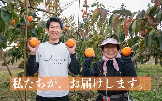 【先行予約】岐阜県瑞穂市産 訳あり富有柿 10kg ※2026年11月中旬～12月中旬頃に順次発送予定