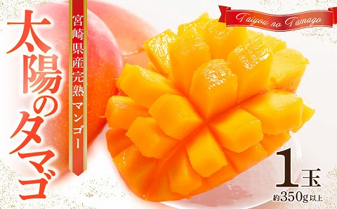 《2026年発送先行予約》【数量・期間限定】宮崎県産 太陽のタマゴ 1玉 国産 マンゴー 完熟 完熟マンゴー 厳選 冷蔵 フルーツ 果物 旬の果物 くだもの 特産品 お取り寄せ 贈答 ギフト_M184-003_02