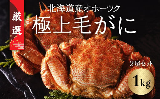 北海道産オホーツク極上毛がに（冷凍） 2尾セット（合計約1kg） 【 ふるさと納税 人気 おすすめ ランキング 毛がに 毛ガニ カニ かに 極上 かに味噌 おいしい 北海道 網走市 送料無料 】 ABC002