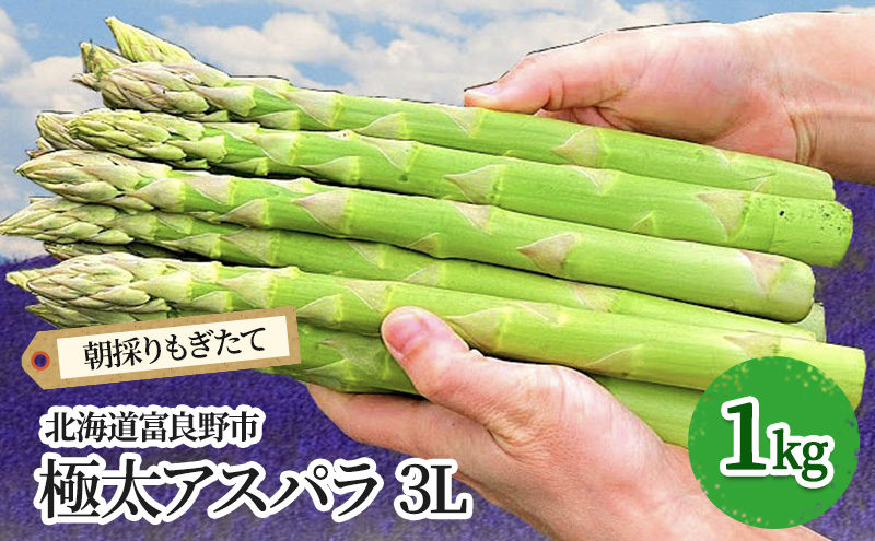 【2026年春発送】極太 グリーンアスパラ 3Lサイズ 1kg (スイートベジタブルファクトリー)