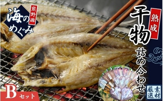 熊野干物詰め合わせ 海の恵み B 鯛 サンマ アジ カマス ブリ カワハギ スルメ 人気 干物セット【hatt0002】