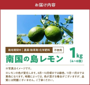 ■【 先行受付 】 栽培期間中 農薬 ・ 除草剤 ・ 化学肥料不使用 ！ 南国 の 島レモン 1kg ！【2025年9月～2026年2月下旬お届け】 W043-005u レモン れもん 檸檬 フルーツ