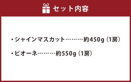 福岡県産 シャインマスカット&amp;ピオーネ 合計約1kg 【2025年8月下旬～9月下旬発送】 フルーツ くだもの