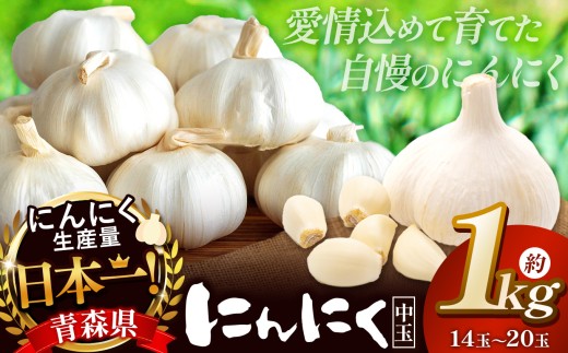 J-05 青森県産 にんにく 中14玉～20玉（約 1㎏ ）| ニンニク 大容量 どっさり 大量 たっぷり たくさん 国産 産地直送 中玉 料理 薬味 ガーリック スパイス アヒージョ 常備菜 調味料 焼肉 BBQ 便利 万能 株式会社あおもり野菜 青森県 六戸町