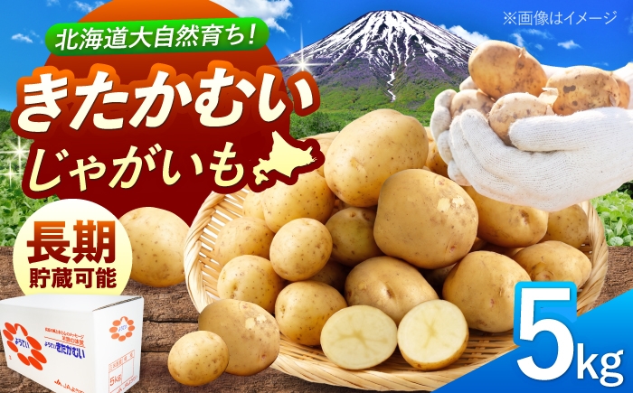 
                  【2027年1月上旬以降順次発送】 じゃがいも きたかむい 5kg | じゃがいも ジャガイモ きたかむい 野菜 季節の野菜 北海道 産地直送 先行予約 | 株式会社Aコープようてい [BPAT007]
                