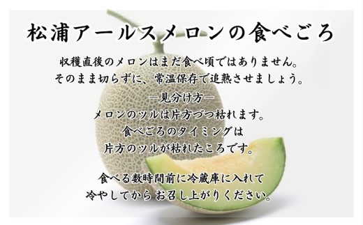 松浦アールスメロン(大容量)4玉【C5-023】 メロン アールスメロン 果実の王様 甘い 糖度14度以上 果物 フルーツ デザート
