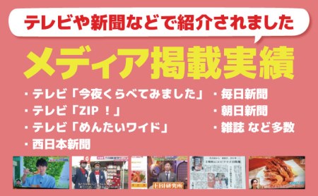 【定期便12回】神えびフライ400g（8尾～12尾） H-233