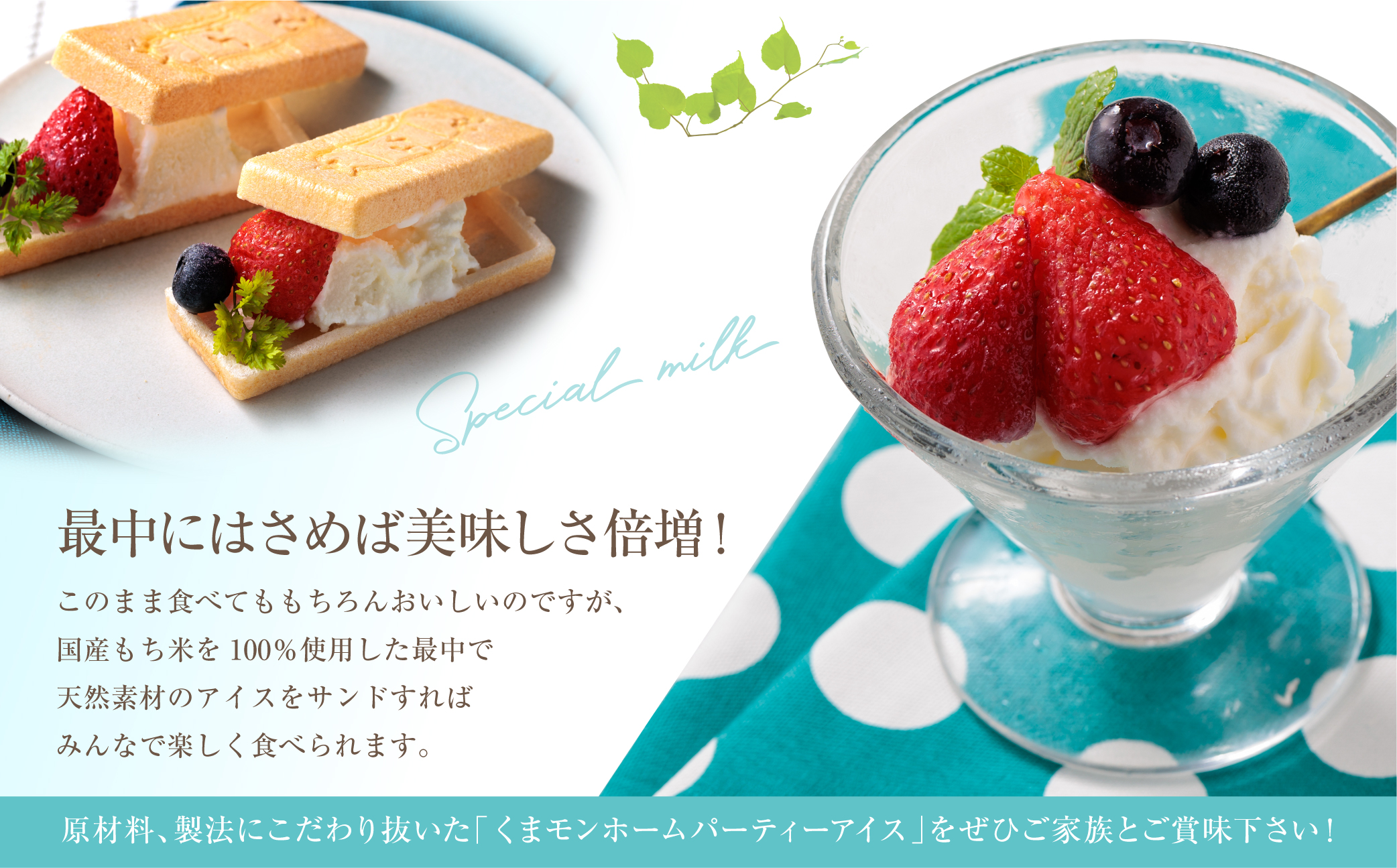  【阿蘇天然アイス】 くまモンホームパーティーアイスケーキ 【詰め合わせ 最中 スイーツ デザート 和菓子 高級 ギフト 贅沢 人気 ご褒美 お取り寄せ グルメ 飛行機 熊本 阿蘇 熊本県 阿蘇市】