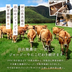 蒜山ジャージー贅沢ヨーグルト(90g)×10個 ご当地ヨーグルトグランプリ金賞 / ヨーグルト 蒜山ヨーグルト 人気ヨーグルト ご当地ヨーグルト 岡山県 真庭市 蒜山 ジャージー牛【HR-4】