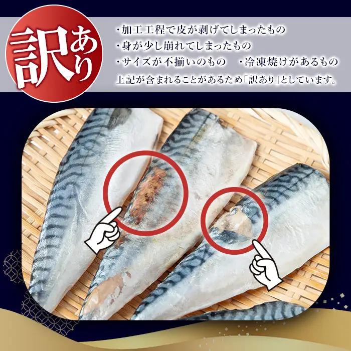 訳あり 無塩 とろさば フィーレ 約2kg 干物 さば フィレ 切り身 【みのだ食品】No.1383-B  