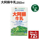 【ふるさと納税】【定期便】【1ヶ月毎3回】大阿蘇牛乳 250ml 24本 計72本（24本×3回） 牛乳 ミルク 成分無調整牛乳 乳飲料 乳性飲料 熊本県産 国産 九州 熊本県 菊池市 送料無料