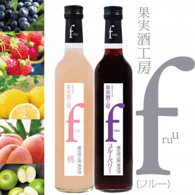 ふるさと納税 甲州市 シャトー勝沼 果実酒工房fruu 桃・ブルーベリー　2本セット　A07-659
