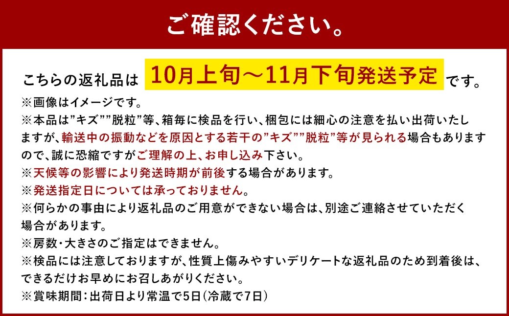 紫苑 2kg