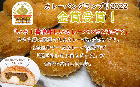 カレーパン グランプリ金賞受賞 カリットカリー 9個（3種×3個） 詰合せ 冷凍 惣菜パン