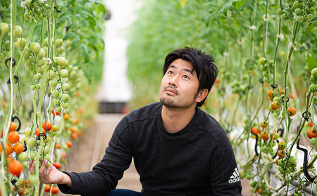 【お中元やお歳暮に人気！】3種のトマトジュース（1リットル）3本セット 野菜飲料 飲料類 果汁飲料 