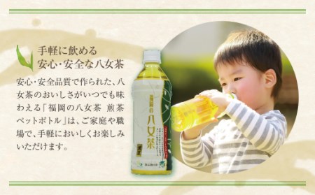 M26-81 福岡の八女茶 煎茶ペットボトル(24本)定期便(隔月×3回)