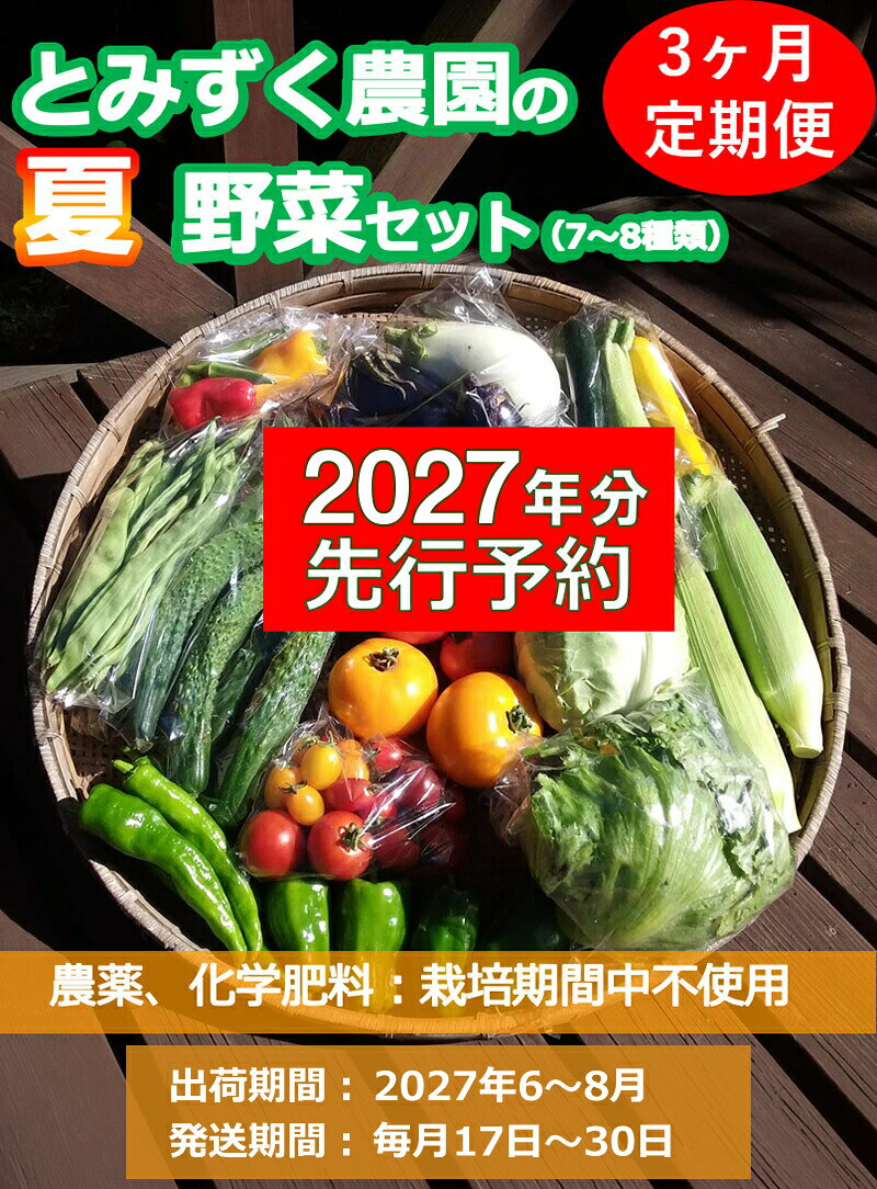 【ふるさと納税】【2027年夏出荷開始・3回定期便】産地直送！高原の夏野菜セット(北海道・沖縄県・離島は配送不可) 長野 信州 無農薬 旬 季節 新鮮 詰合せ 直送〈2027年6月17日出荷開始～2027年8月28日出荷終了〉