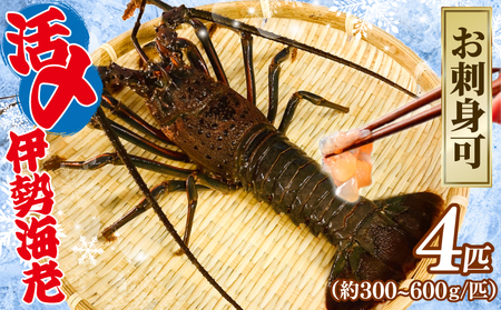 活〆 冷凍 伊勢海老 4匹（1匹 約300～600g） 約2kg 伊勢海老