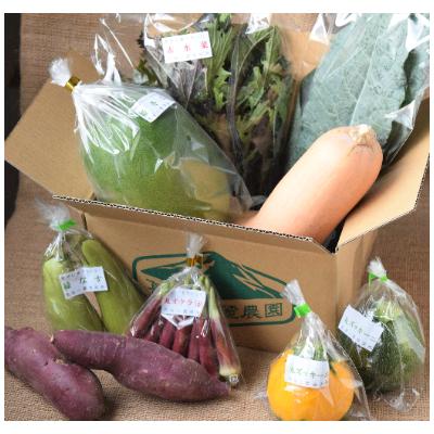 ふるさと納税 御所市 多品目栽培農家の、個性豊かな野菜おまかせつめあわせセット |  | 03