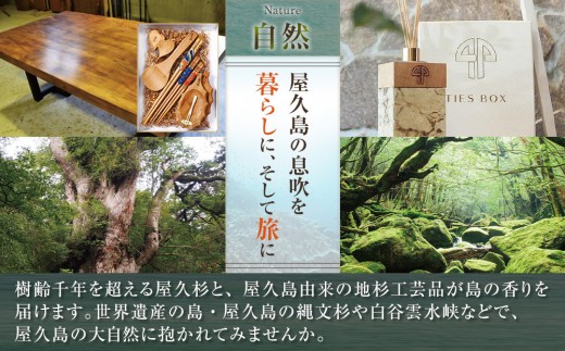 活き〆冷凍 車海老 Mサイズ 300g  鹿児島県産 (養殖)【車海老 海老 エビ エビフライ エビチリ 魚介類 冷凍 人気 おすすめ お取り寄せ 鹿児島県 屋久島町  J001】