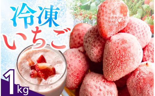 【冷凍いちご】 1kg 恋みのり かおり野 こだわり いちご フローズン 冷凍 イチゴ strawberry 苺 新鮮 朝摘み 朝採り 産直 産地直送 安心安全 ichigo itigo いちご 苺 果物 フルーツ くだもの ギフト プレゼント 贈物 贈答 ケーキ ジャム ふるさと納税 ふるさと納税苺 いちご 静岡県 南伊豆町 みなみのいちご園　<AA-1>