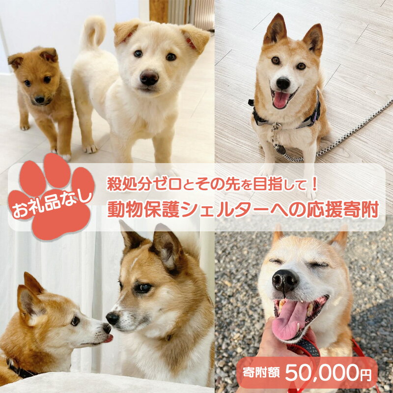 【ふるさと納税】【お礼品なし】殺処分ゼロとその先を目指して！　動物保護シェルターへの応援寄附　50,000円