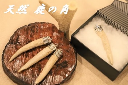 『天然・鹿の角』アクセサリー用パーツ 《90日以内に出荷予定(土日祝除く)》【配送不可地域あり】　※離島不可