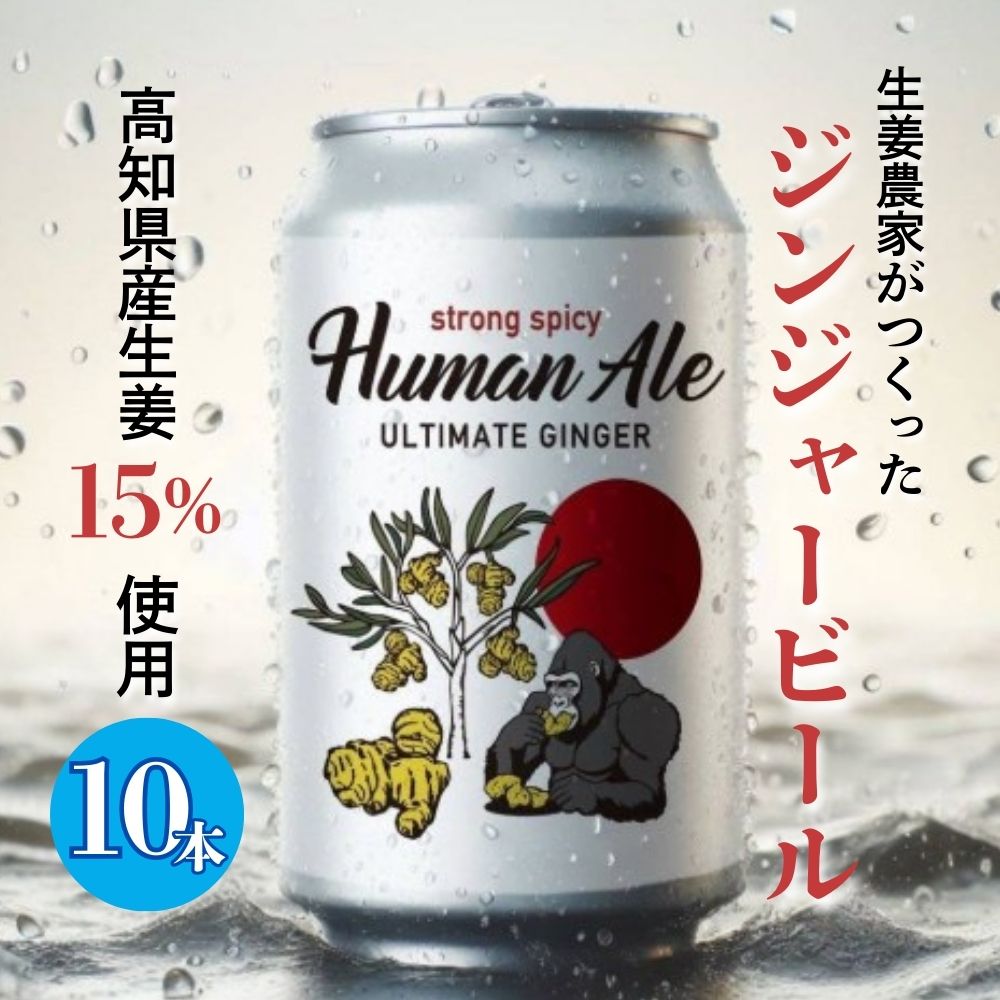 【ふるさと納税】　ジンジャービール 10本セット 生姜 ビール スパイシー 辛口 高知