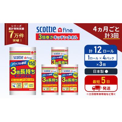 ふるさと納税 岩沼市 定期便 キッチンペーパー 4P入 キッチンタオル スコッティ《計3回》[No.5704-1097] |  | 01