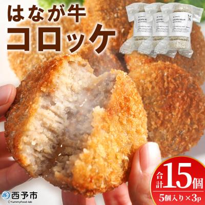 ふるさと納税 西予市 &lt;はなが牛コロッケ 計15個オリジナル おつまみ お肉 牛肉　はなが牛&gt;