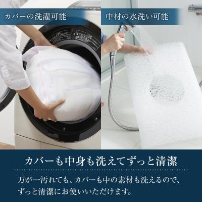 ふるさと納税 大府市 エアウィーヴ キャリークッションmini |  | 03