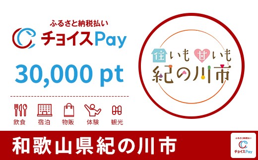 
            紀の川市チョイスPay 30,000pt【会員限定のお礼の品】
          